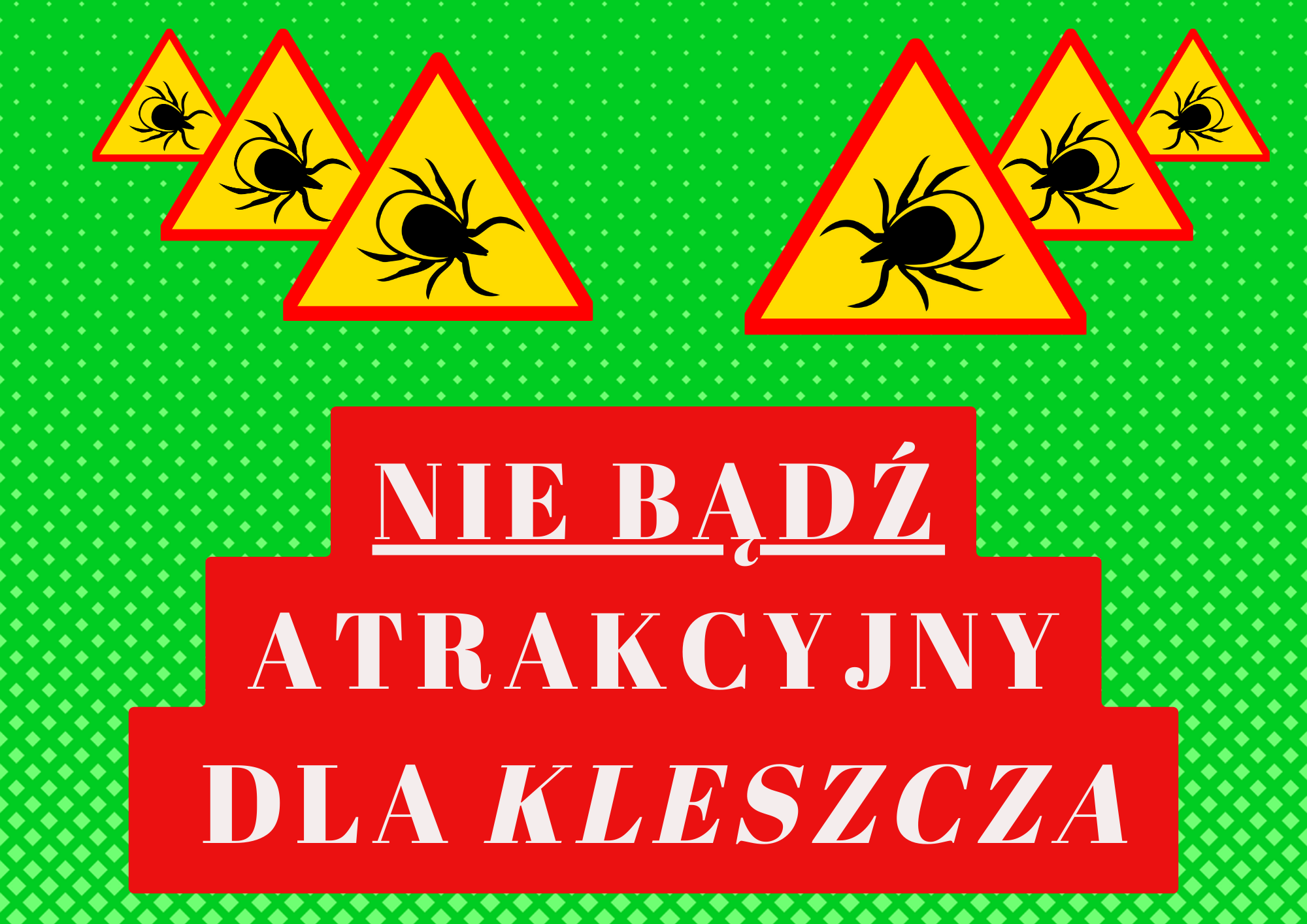 Read more about the article “Nie bądź atrakcyjny dla kleszcza” – warsztaty dla klas 6 i 7